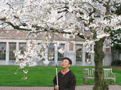 Seattle Sakura