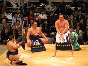 The Structure of Sumo Wrestling